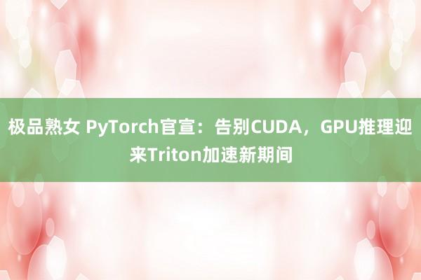 极品熟女 PyTorch官宣：告别CUDA，GPU推理迎来Triton加速新期间