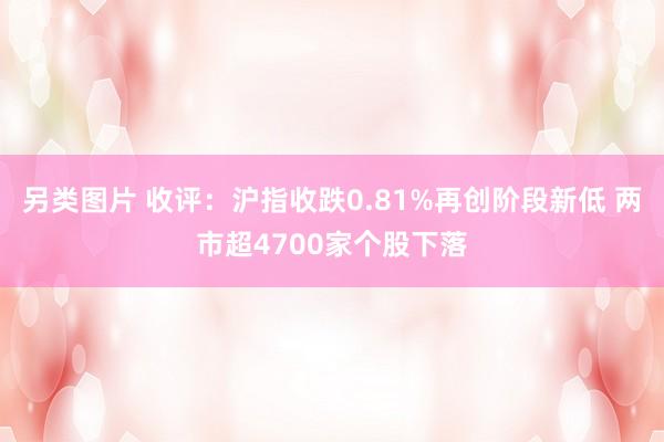 另类图片 收评：沪指收跌0.81%再创阶段新低 两市超4700家个股下落