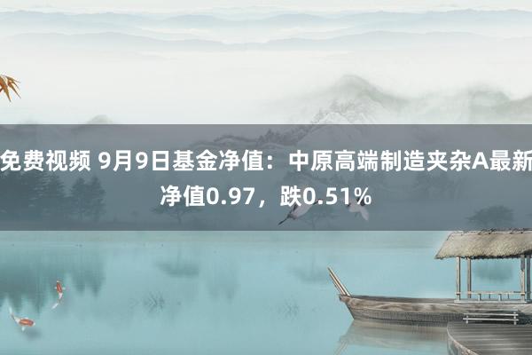 免费视频 9月9日基金净值：中原高端制造夹杂A最新净值0.97，跌0.51%