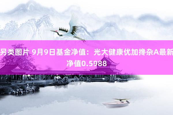 另类图片 9月9日基金净值：光大健康优加搀杂A最新净值0.5988