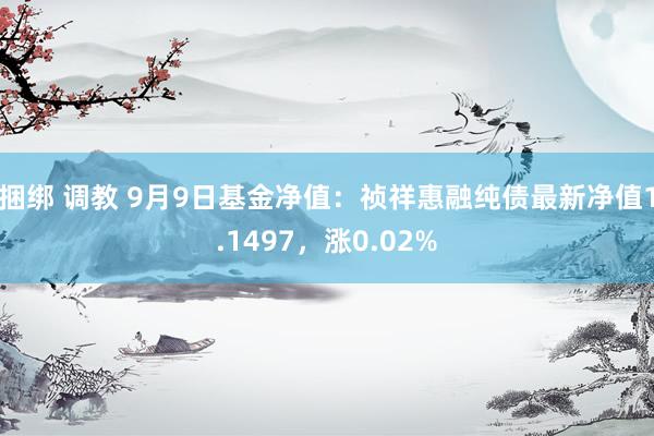 捆绑 调教 9月9日基金净值：祯祥惠融纯债最新净值1.1497，涨0.02%