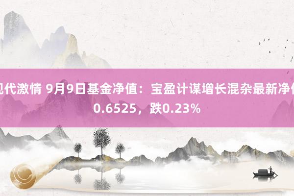 现代激情 9月9日基金净值：宝盈计谋增长混杂最新净值0.6525，跌0.23%