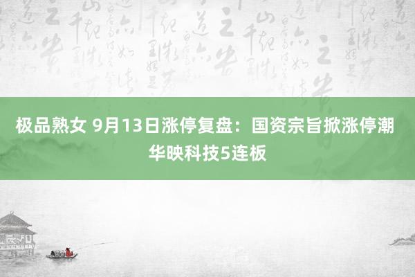 极品熟女 9月13日涨停复盘：国资宗旨掀涨停潮 华映科技5连板