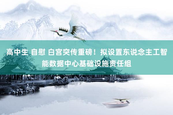 高中生 自慰 白宫突传重磅！拟设置东说念主工智能数据中心基础设施责任组