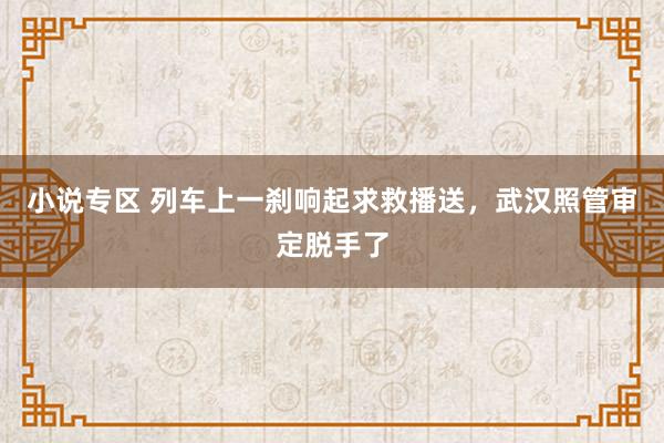 小说专区 列车上一刹响起求救播送，武汉照管审定脱手了