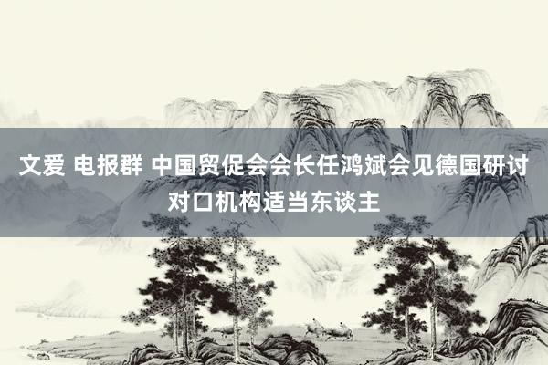 文爱 电报群 中国贸促会会长任鸿斌会见德国研讨对口机构适当东谈主