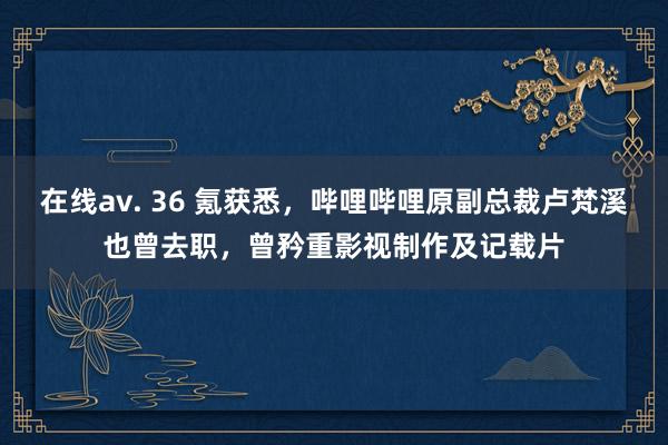 在线av. 36 氪获悉，哔哩哔哩原副总裁卢梵溪也曾去职，曾矜重影视制作及记载片