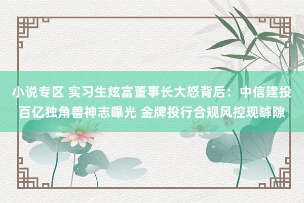 小说专区 实习生炫富董事长大怒背后：中信建投百亿独角兽神志曝光 金牌投行合规风控现罅隙