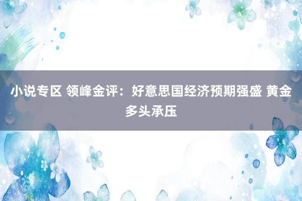 小说专区 领峰金评：好意思国经济预期强盛 黄金多头承压