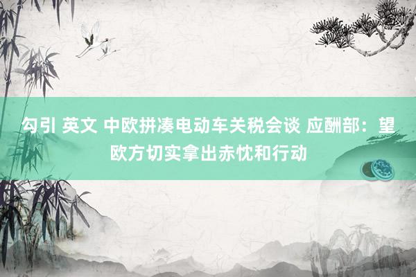 勾引 英文 中欧拼凑电动车关税会谈 应酬部：望欧方切实拿出赤忱和行动