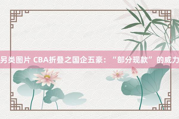 另类图片 CBA折叠之国企五豪：“部分现款” 的威力