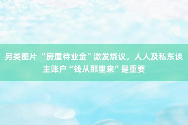 另类图片 “房屋待业金”激发烧议，人人及私东谈主账户“钱从那里来”是重要