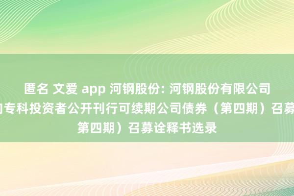 匿名 文爱 app 河钢股份: 河钢股份有限公司2024年面向专科投资者公开刊行可续期公司债券（第四期）召募诠释书选录