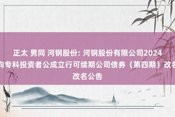 正太 男同 河钢股份: 河钢股份有限公司2024年面向专科投资者公成立行可续期公司债券（第四期）改名公告