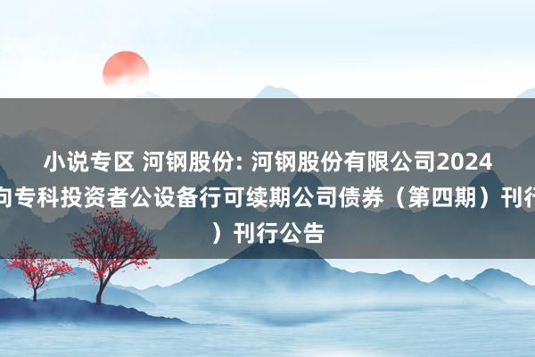 小说专区 河钢股份: 河钢股份有限公司2024年面向专科投资者公设备行可续期公司债券（第四期）刊行公告