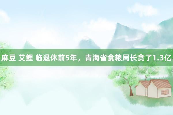 麻豆 艾鲤 临退休前5年，青海省食粮局长贪了1.3亿