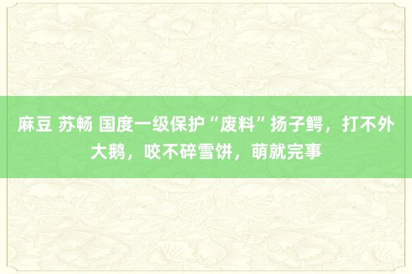 麻豆 苏畅 国度一级保护“废料”扬子鳄，打不外大鹅，咬不碎雪饼，萌就完事