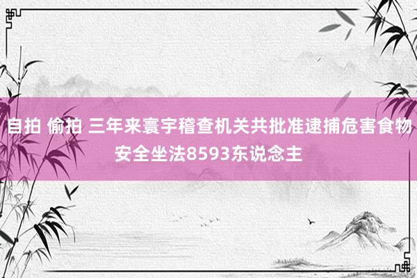 自拍 偷拍 三年来寰宇稽查机关共批准逮捕危害食物安全坐法8593东说念主