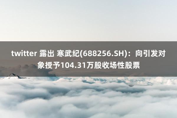 twitter 露出 寒武纪(688256.SH)：向引发对象授予104.31万股收场性股票