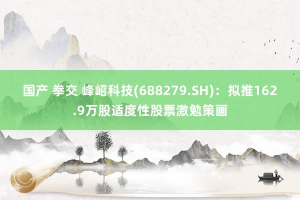 国产 拳交 峰岹科技(688279.SH)：拟推162.9万股适度性股票激勉策画