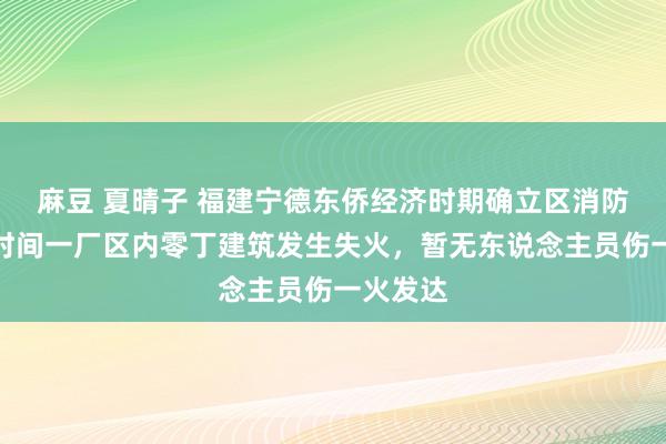 麻豆 夏晴子 福建宁德东侨经济时期确立区消防：宁德时间一厂区内零丁建筑发生失火，暂无东说念主员伤一火发达