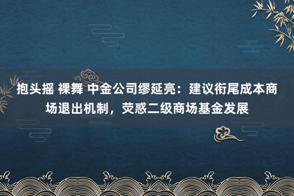 抱头摇 裸舞 中金公司缪延亮：建议衔尾成本商场退出机制，荧惑二级商场基金发展