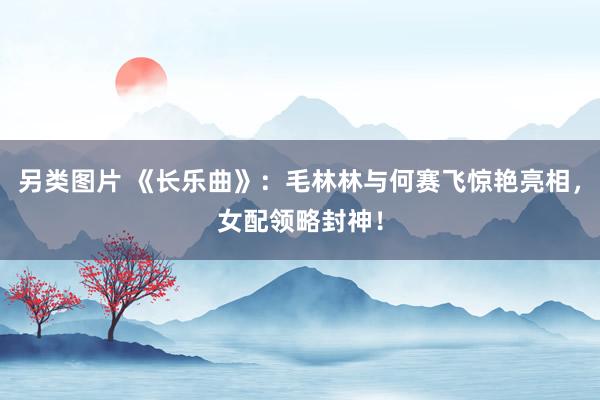 另类图片 《长乐曲》：毛林林与何赛飞惊艳亮相，女配领略封神！