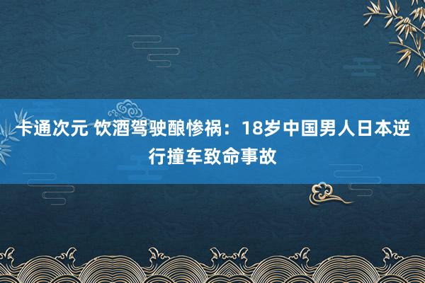 卡通次元 饮酒驾驶酿惨祸：18岁中国男人日本逆行撞车致命事故