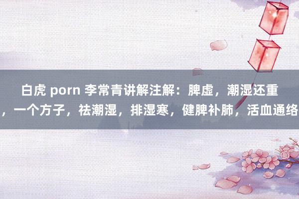 白虎 porn 李常青讲解注解：脾虚，潮湿还重，一个方子，祛潮湿，排湿寒，健脾补肺，活血通络