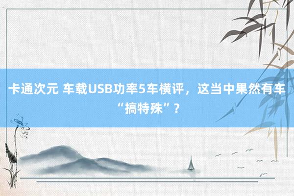 卡通次元 车载USB功率5车横评，这当中果然有车“搞特殊”？