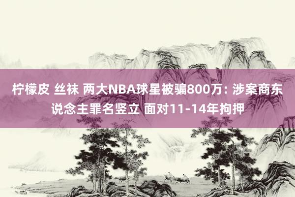 柠檬皮 丝袜 两大NBA球星被骗800万: 涉案商东说念主罪名竖立 面对11-14年拘押