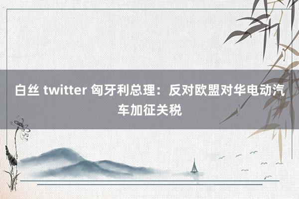 白丝 twitter 匈牙利总理：反对欧盟对华电动汽车加征关税