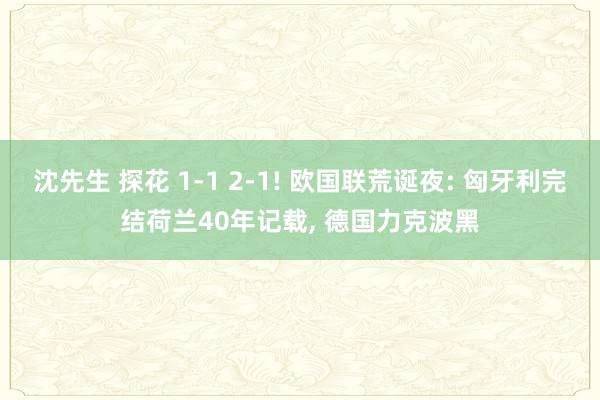 沈先生 探花 1-1 2-1! 欧国联荒诞夜: 匈牙利完结荷兰40年记载, 德国力克波黑