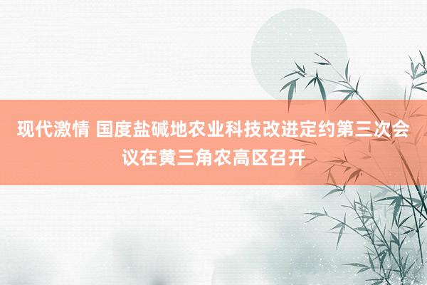 现代激情 国度盐碱地农业科技改进定约第三次会议在黄三角农高区召开