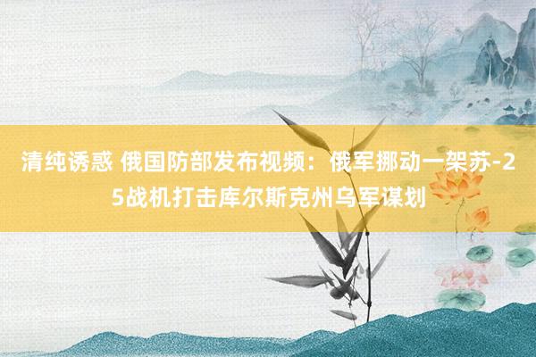 清纯诱惑 俄国防部发布视频：俄军挪动一架苏-25战机打击库尔斯克州乌军谋划