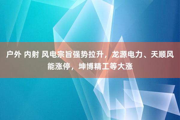 户外 内射 风电宗旨强势拉升，龙源电力、天顺风能涨停，坤博精工等大涨