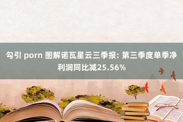 勾引 porn 图解诺瓦星云三季报: 第三季度单季净利润同比减25.56%