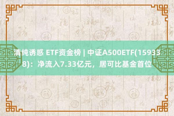 清纯诱惑 ETF资金榜 | 中证A500ETF(159338)：净流入7.33亿元，居可比基金首位