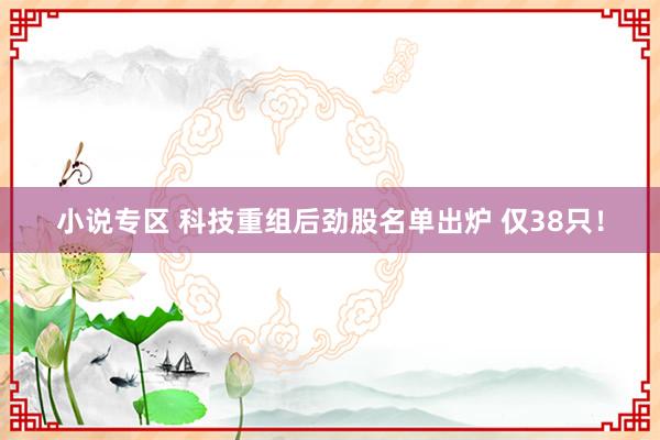 小说专区 科技重组后劲股名单出炉 仅38只！