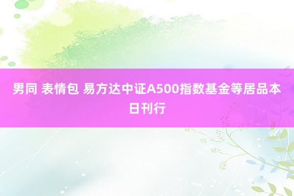 男同 表情包 易方达中证A500指数基金等居品本日刊行