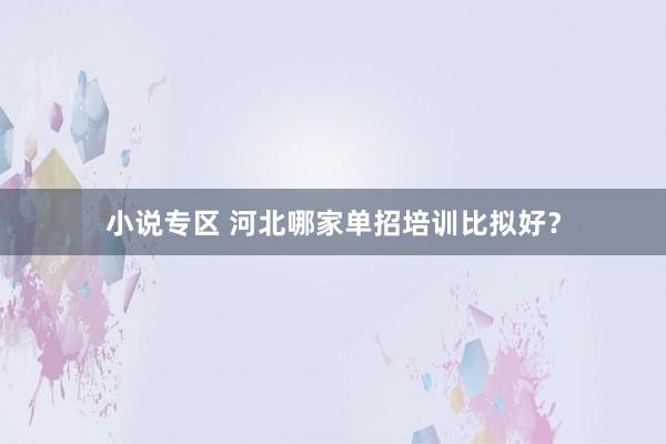 小说专区 河北哪家单招培训比拟好？