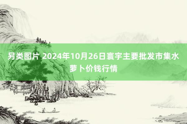 另类图片 2024年10月26日寰宇主要批发市集水萝卜价钱行情