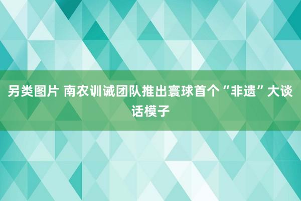 另类图片 南农训诫团队推出寰球首个“非遗”大谈话模子