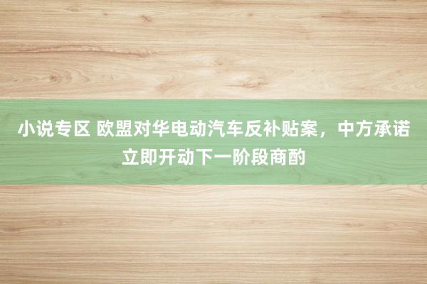 小说专区 欧盟对华电动汽车反补贴案，中方承诺立即开动下一阶段商酌