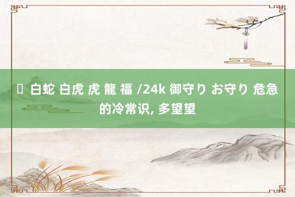 ✨白蛇 白虎 虎 龍 福 /24k 御守り お守り 危急的冷常识, 多望望