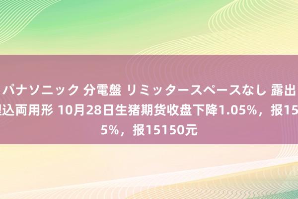 パナソニック 分電盤 リミッタースペースなし 露出・半埋込両用形 10月28日生猪期货收盘下降1.05%，报15150元