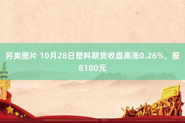 另类图片 10月28日塑料期货收盘高涨0.26%，报8180元