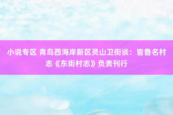 小说专区 青岛西海岸新区灵山卫街谈：皆鲁名村志《东街村志》负责刊行