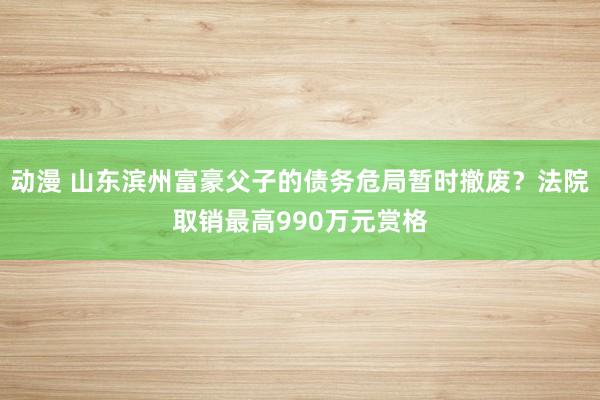 动漫 山东滨州富豪父子的债务危局暂时撤废？法院取销最高990万元赏格