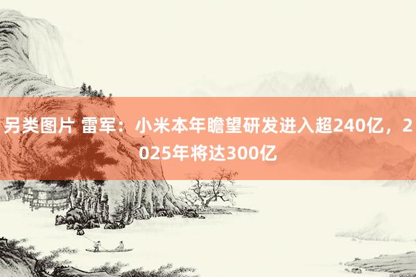 另类图片 雷军：小米本年瞻望研发进入超240亿，2025年将达300亿